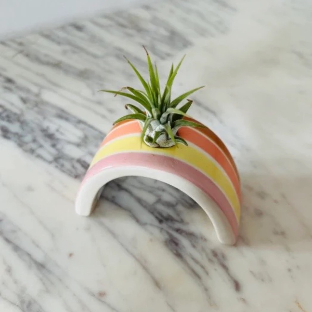 ✨BNWT - Rainbow Airplant Holder✨